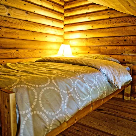 Chalet Et Spa De La Burotte Chalet Basse-sur-le-Rupt